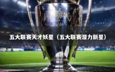 五大联赛天才妖星（五大联赛潜力新星）