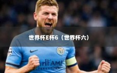 世界杯E杯6（世界杯六）
