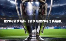 世界杯俄罗斯杯（俄罗斯世界杯比赛结果）