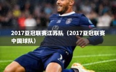 2017亚冠联赛江苏队（2017亚冠联赛中国球队）