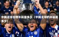 中国足球合理年薪是多少（中国足球的年薪是多少）