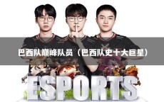 巴西队巅峰队员（巴西队史十大巨星）