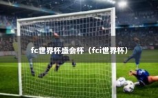 fc世界杯盛会杯（fci世界杯）