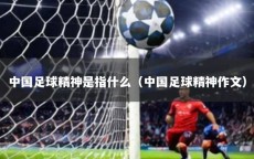 中国足球精神是指什么（中国足球精神作文）