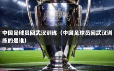 中国足球员回武汉训练（中国足球员回武汉训练的是谁）