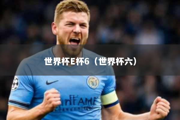 世界杯E杯6(世界杯六)