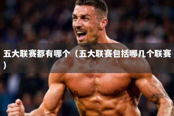 五大联赛都有哪个(五大联赛包括哪几个联赛)
