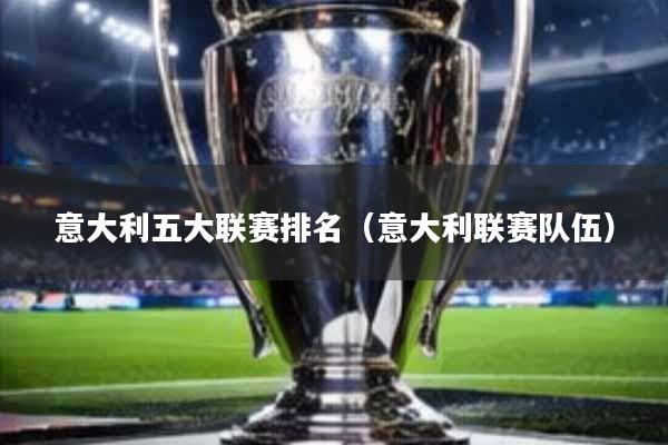 意大利五大联赛排名(意大利联赛队伍)